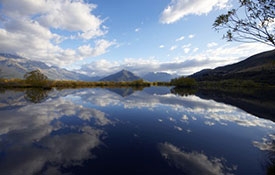 beauty of Mount Alfred